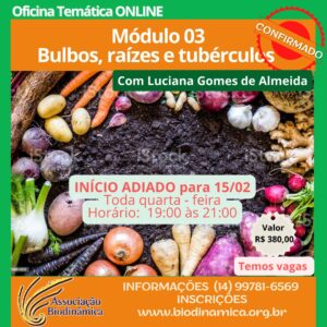 Modulo-03-Bulbos-Raizes-tuberculos