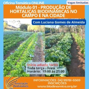 Producao_Hortalicas_biodinamica_campo_cidade-3